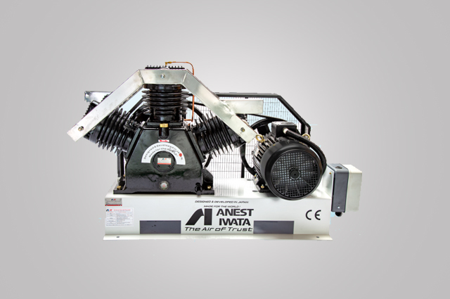 Reciprocating Vacuum Pump